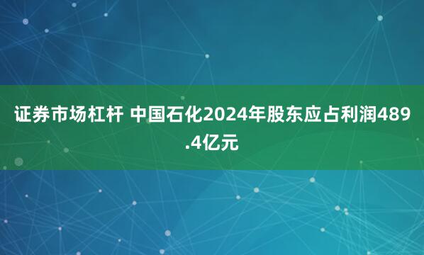 证券市场杠杆 中国石化2024年股东应占利润489.4亿元