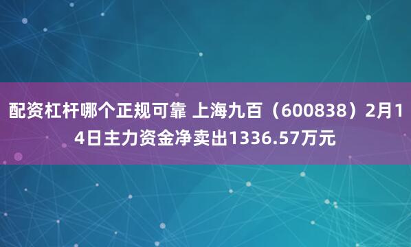 配资杠杆哪个正规可靠 上海九百（600838）2月14日主力资金净卖出1336.57万元