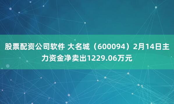 股票配资公司软件 大名城（600094）2月14日主力资金净卖出1229.06万元