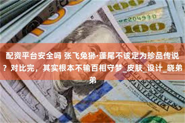 配资平台安全吗 张飞兔狲·蓬尾不该定为珍品传说？对比完，其实根本不输百相守梦_皮肤_设计_晓弟