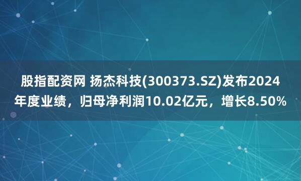 股指配资网 扬杰科技(300373.SZ)发布2024年度业绩，归母净利润10.02亿元，增长8.50%