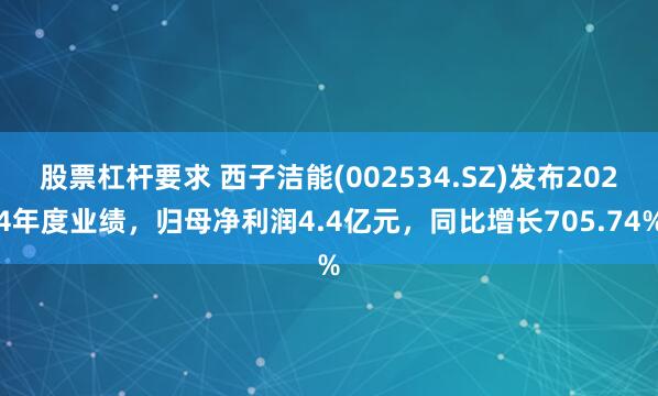 股票杠杆要求 西子洁能(002534.SZ)发布2024年度业绩，归母净利润4.4亿元，同比增长705.74%
