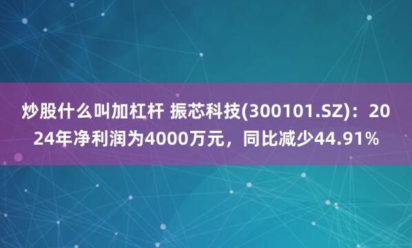 炒股什么叫加杠杆 振芯科技(300101.SZ)：2024年净利润为4000万元，同比减少44.91%