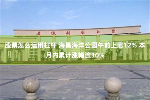股票怎么运用杠杆 海昌海洋公园午前上涨12% 本月内累计涨幅逾30%