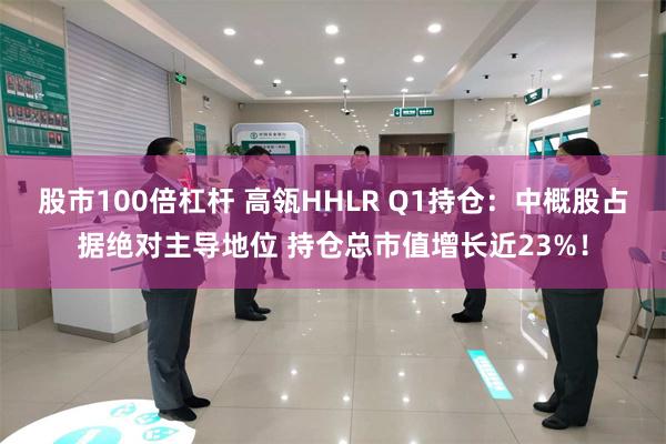 股市100倍杠杆 高瓴HHLR Q1持仓：中概股占据绝对主导地位 持仓总市值增长近23%！