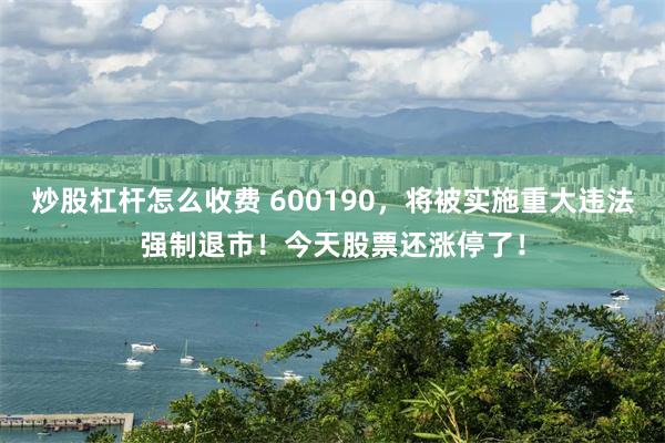 炒股杠杆怎么收费 600190，将被实施重大违法强制退市！今天股票还涨停了！