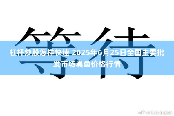 杠杆炒股怎样快速 2025年6月25日全国主要批发市场黑鱼价格行情