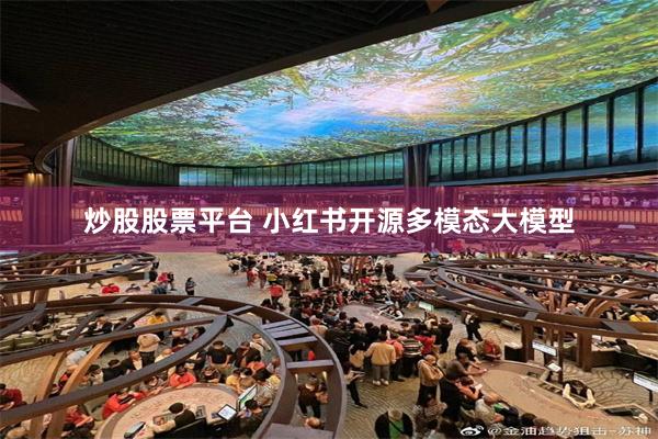 炒股股票平台 小红书开源多模态大模型