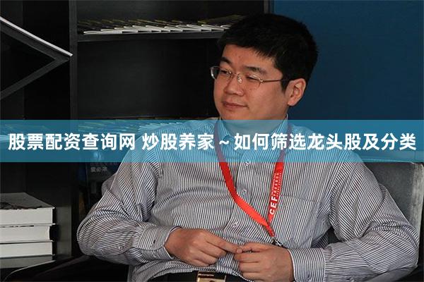 股票配资查询网 炒股养家～如何筛选龙头股及分类