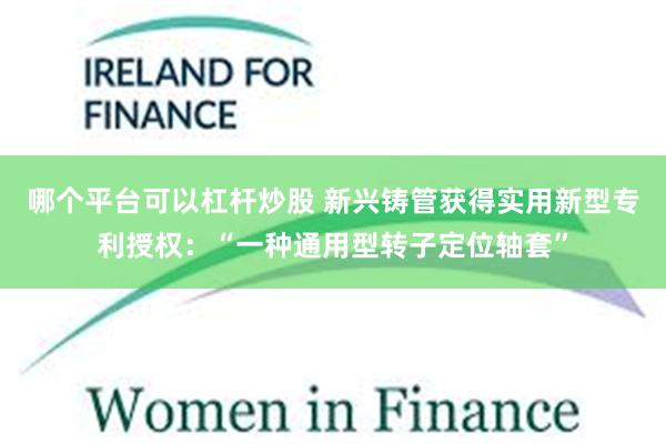 哪个平台可以杠杆炒股 新兴铸管获得实用新型专利授权：“一种通用型转子定位轴套”