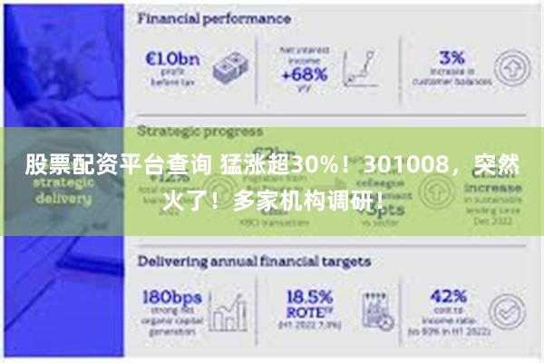 股票配资平台查询 猛涨超30%！301008，突然火了！多家机构调研！