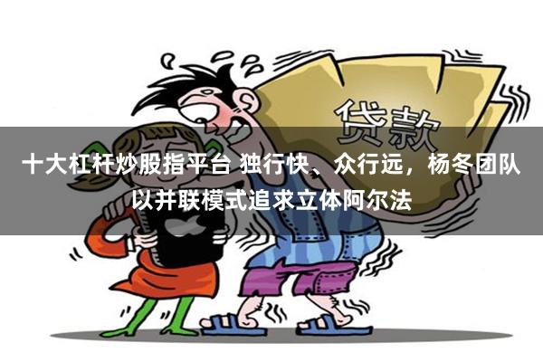 十大杠杆炒股指平台 独行快、众行远，杨冬团队以并联模式追求立体阿尔法